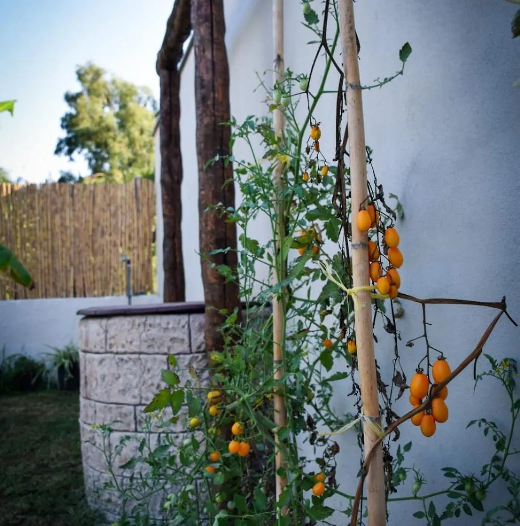 Bed & Breakfast Dimora Arborea Marceddi
