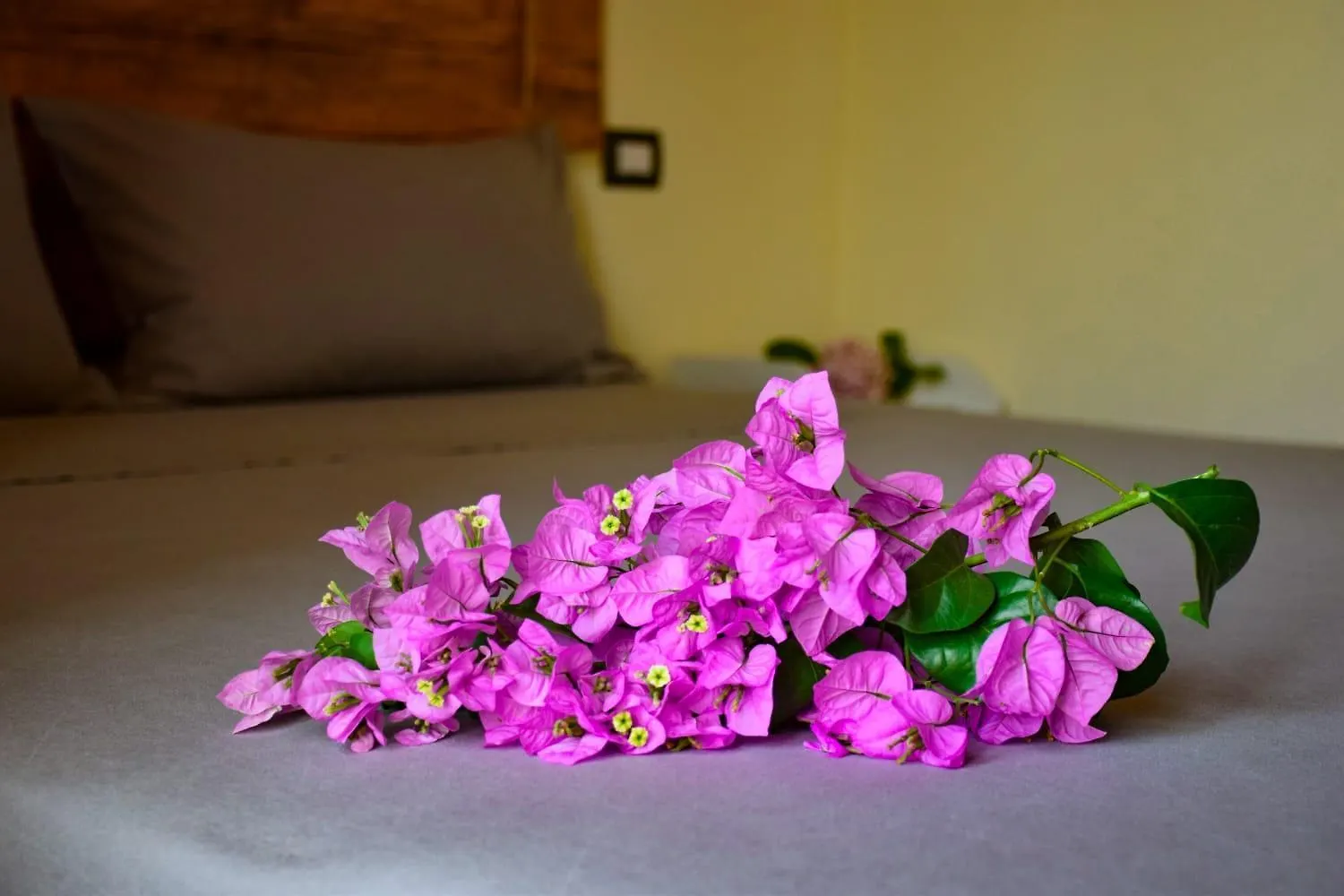 Dimora Arborea Marceddi Bed & Breakfast